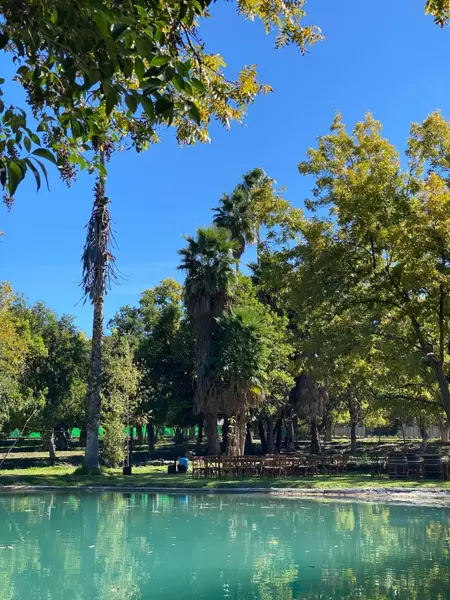 Local en Venta en Tacubaya, Parras, Coahuila de Zaragoza 4