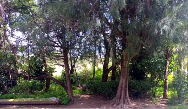 Terreno en venta en Lomas de Atizapan, Atizapán de Zaragoza — foto 3 de 4
