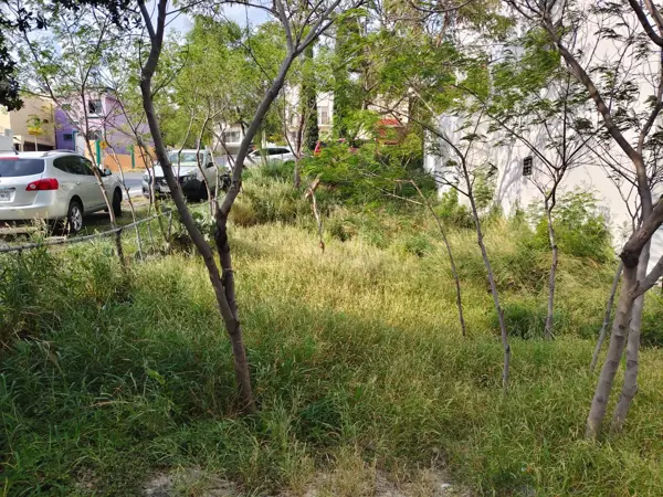 Terreno en venta en Balcones de las Mitras, Monterrey — foto 3 de 5