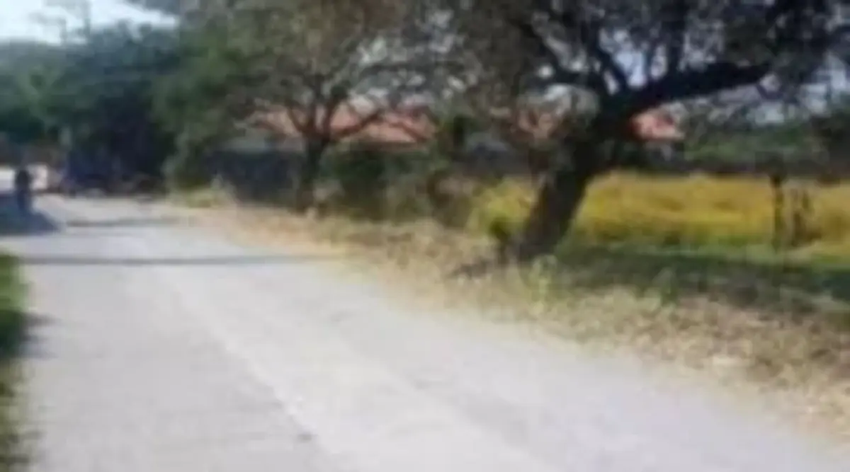 Terreno en venta en La Esperanza, Xochitepec — foto 1 de 4