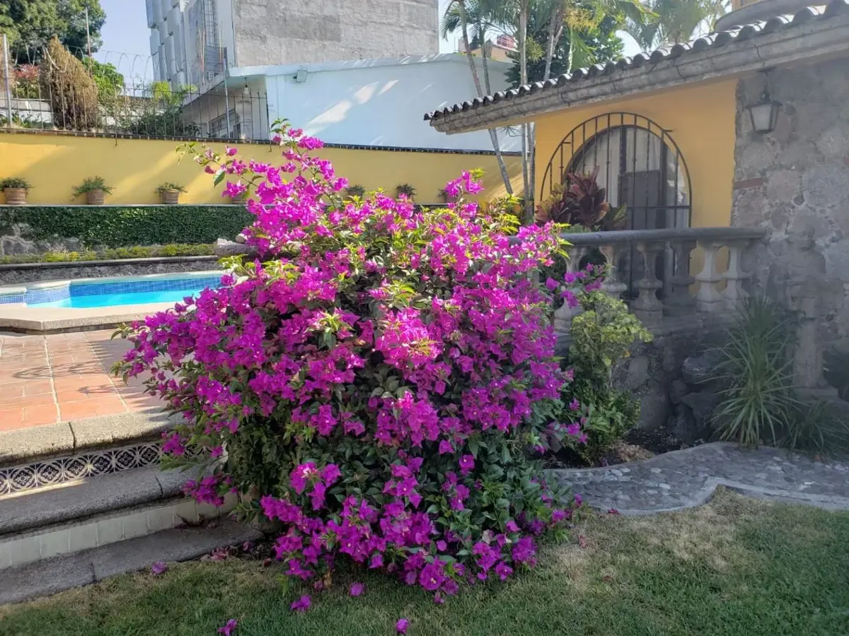 Casa en venta en Vista Hermosa, Cuernavaca — foto 1 de 13
