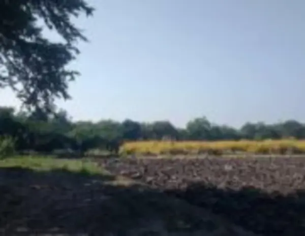 Terreno en venta en Alpuyeca, Xochitepec — foto 3 de 3