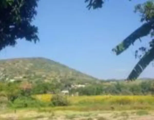 Terreno en venta en Alpuyeca, Xochitepec — foto 2 de 3
