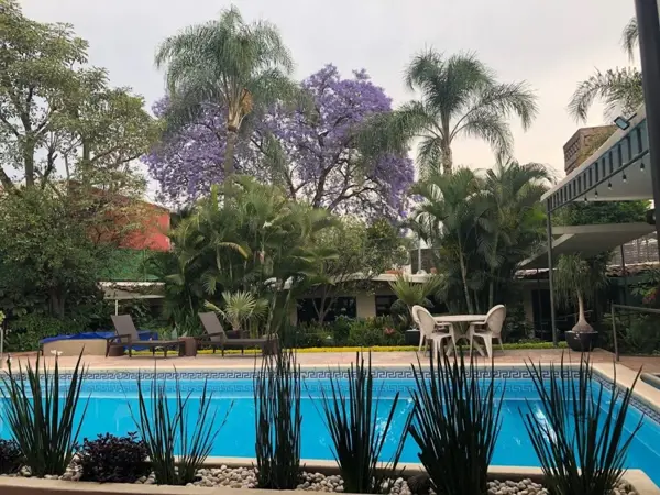 Casa en renta en Delicias, Cuernavaca — foto 2 de 21