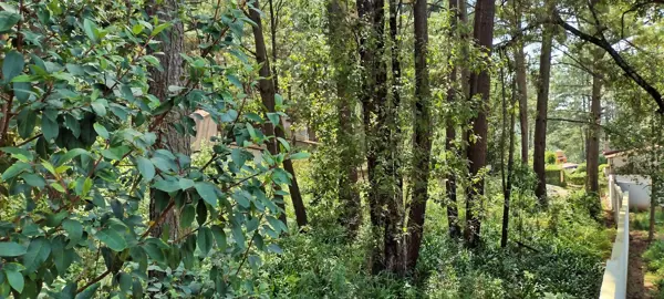 Terreno en venta en Avandaro, Valle de Bravo — foto 2 de 7