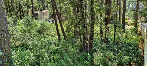 Terreno en venta en Avandaro, Valle de Bravo — foto 3 de 7