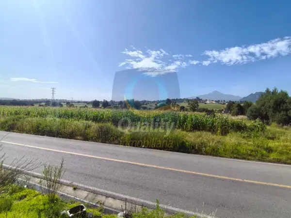 Terreno en venta en San Andres Ahuashuatepec, Tzompantepec — foto 3 de 9