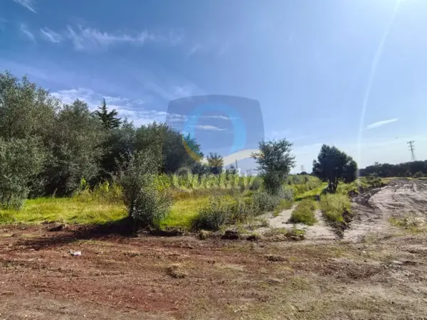 Terreno en venta en San Salvador Tzompantepec, Tzompantepec — foto 2 de 5