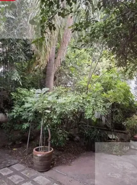 Casa en venta en Jardines de Tlaltenango, Cuernavaca — foto 2 de 20