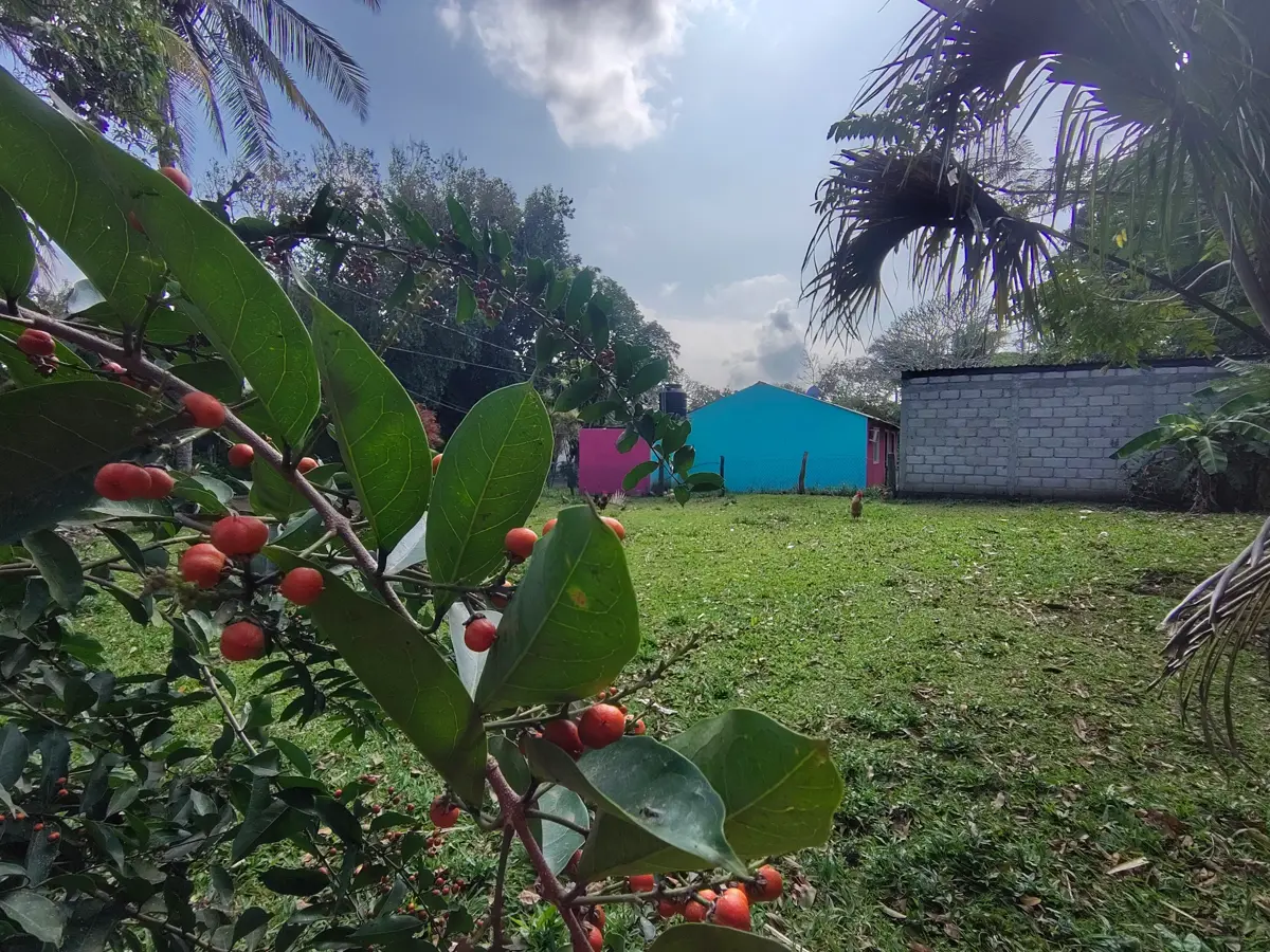 Terreno en venta en La Aguada, Alvarado — foto 1 de 12