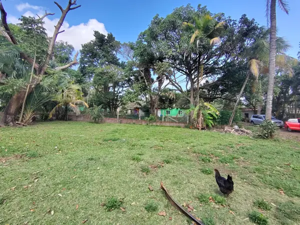 Terreno en venta en La Aguada, Alvarado — foto 3 de 12