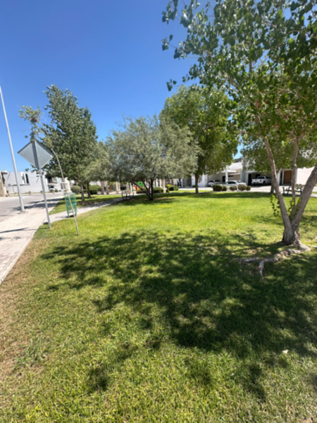 Casa en renta en Residencial Palma Real, Torreón — foto 2 de 23