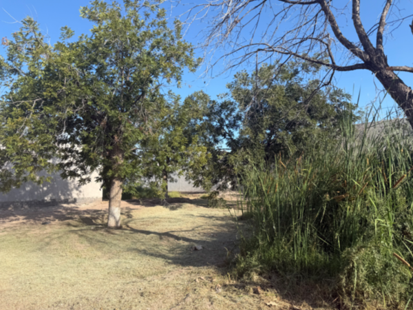 Terreno en venta en Las Trojes, Torreón — foto 3 de 7