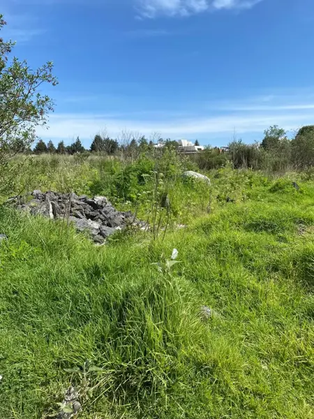 Terreno en venta en San Miguel Totocuitlapilco, Metepec — foto 3 de 9