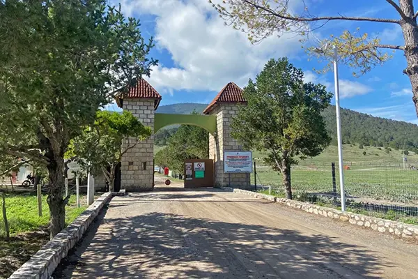 Terreno en venta en San Antonio de las Alazanas, Arteaga — foto 2 de 12