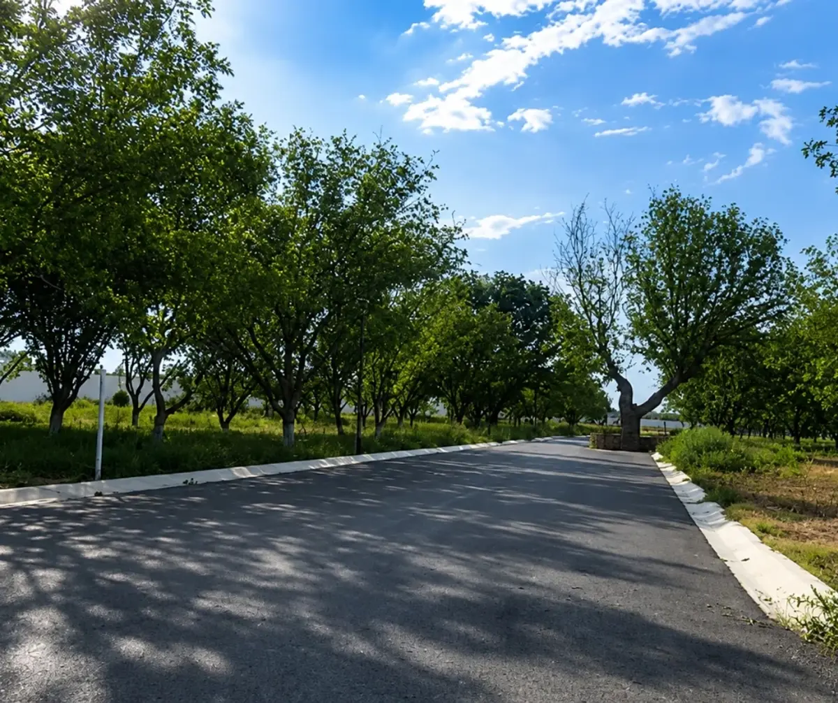 Terreno en venta en La Joya, Arteaga — foto 1 de 12