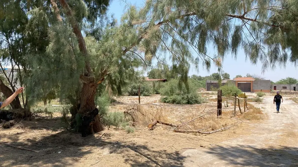 Terreno en venta en El Olivo, Matamoros