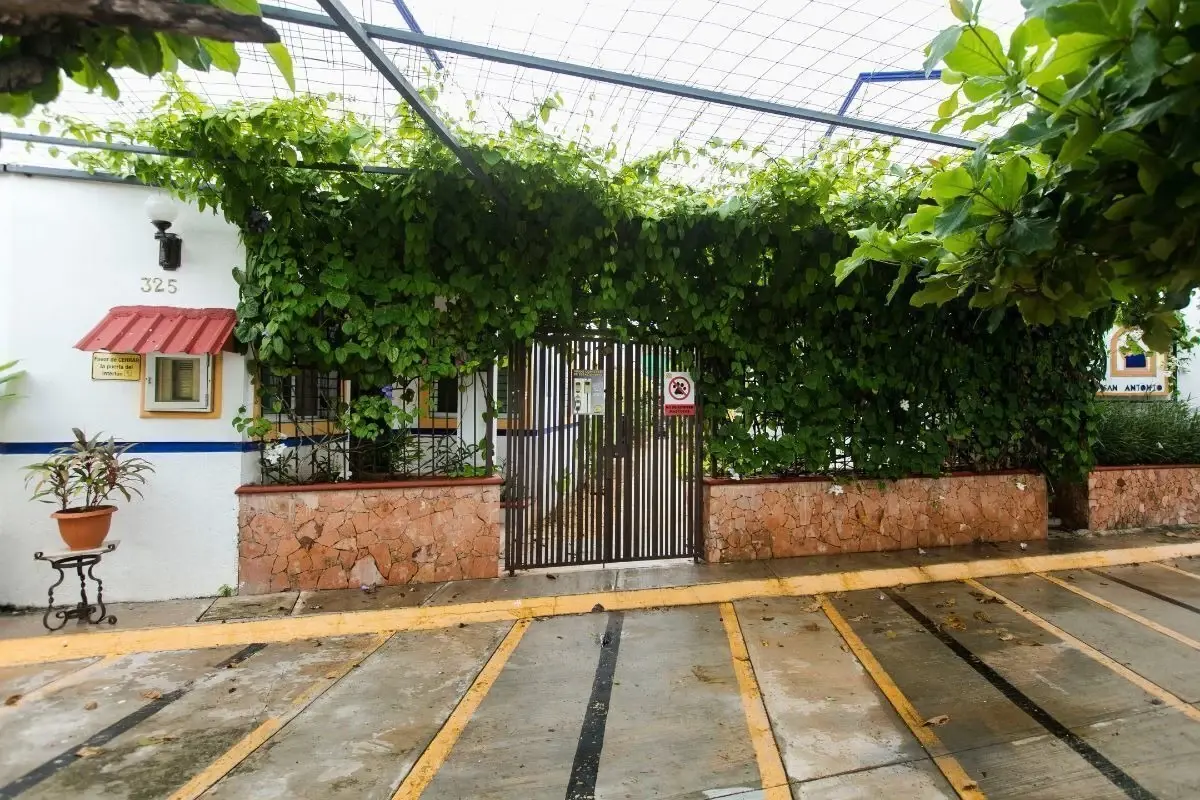 Departamento en renta en Benito Juárez Nte, Mérida — foto 1 de 12