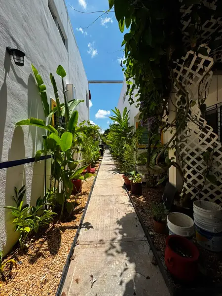 Departamento en renta en Benito Juárez Nte, Mérida — foto 2 de 12