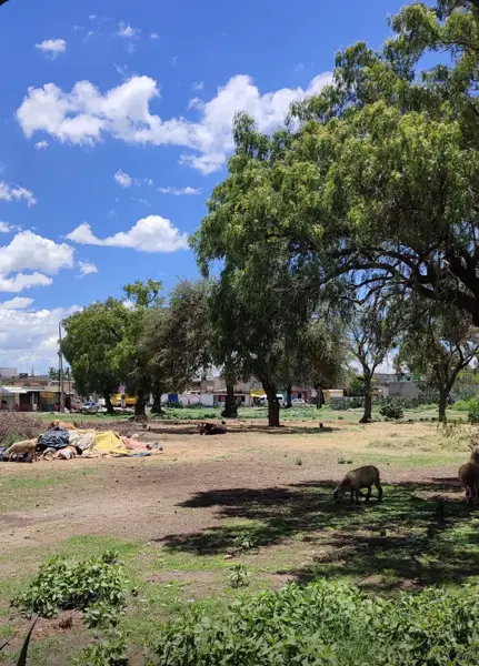 Terreno en venta en Santiago 2da. Sección, Zumpango — foto 2 de 6