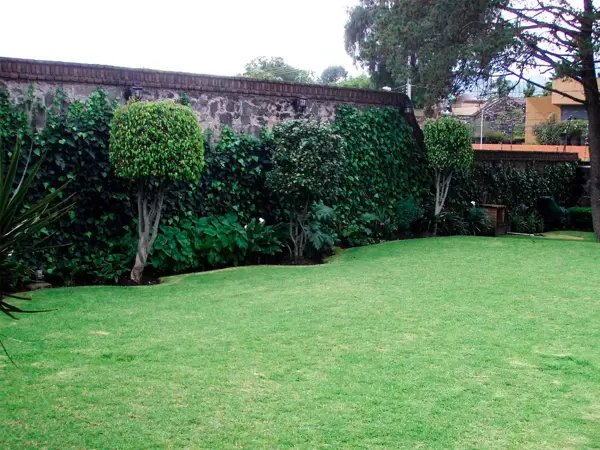Casa en venta en Jardines del Pedregal, Álvaro Obregón — foto 3 de 15
