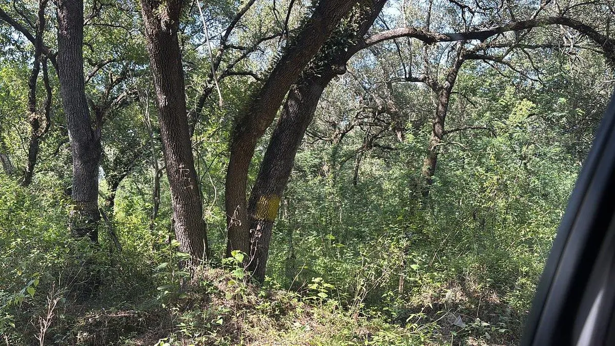 Terreno en venta en El Barrial, Santiago — foto 1 de 10