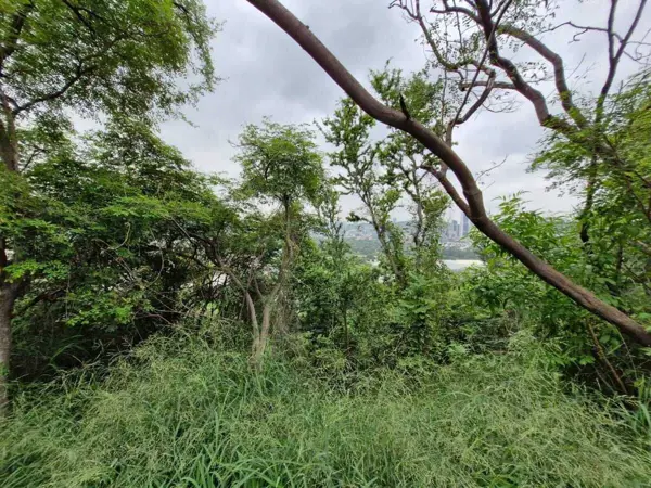 Terreno en venta en San Agustin Campestre, San Pedro Garza García — foto 2 de 10