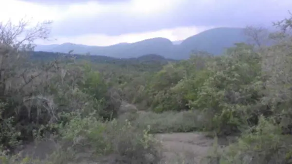 RANCHO/FINCA EN ANTIGUO MORELOS TAMAULIPAS