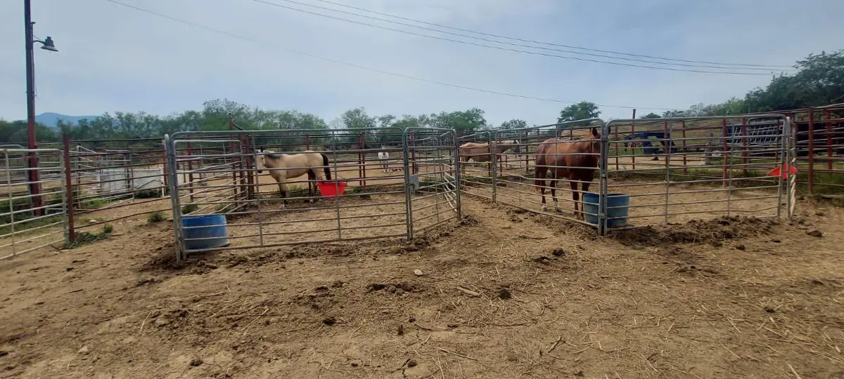 Terreno en venta en Canoas, Montemorelos — foto 1 de 22