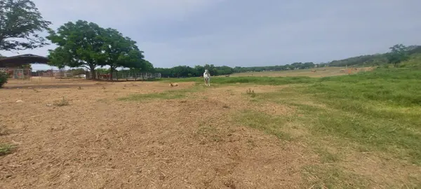 Terreno en venta en Canoas, Montemorelos — foto 3 de 22