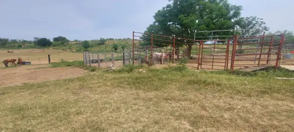 Terreno en venta en Canoas, Montemorelos — foto 2 de 22