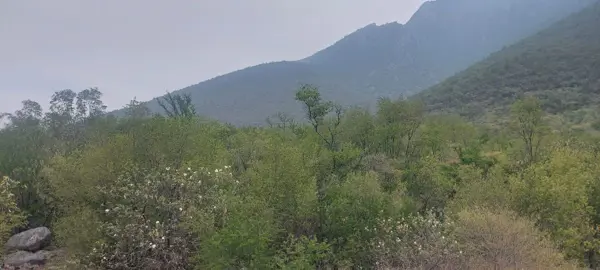 Terreno en venta en Cortijo del Rio, Monterrey — foto 2 de 3