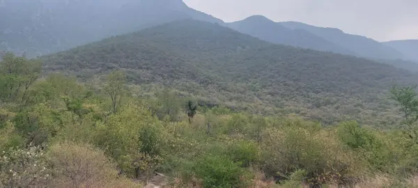 Terreno en venta en Cortijo del Rio, Monterrey — foto 3 de 3
