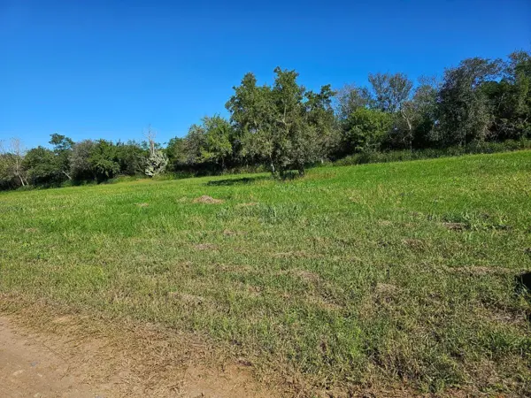 Terreno en venta en El Fraile, Montemorelos — foto 3 de 3