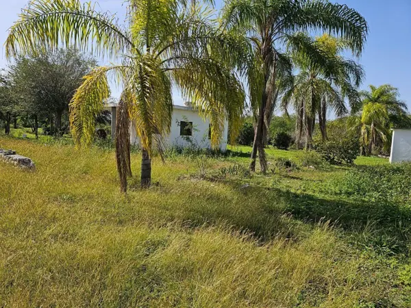 Terreno en venta en Montemorelos Centro, Montemorelos — foto 3 de 8