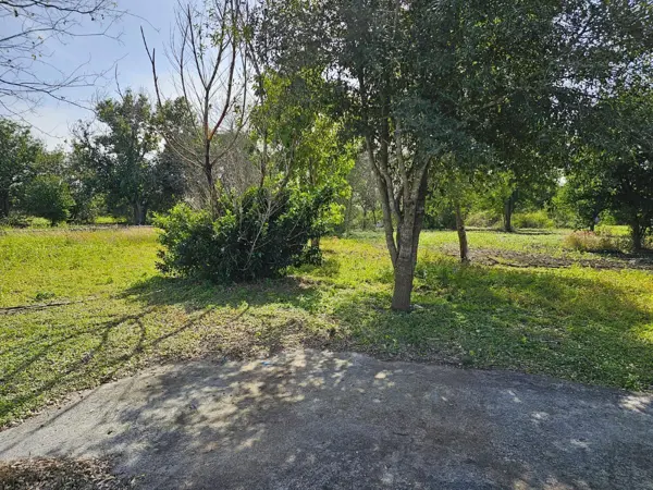 Terreno en venta en Montemorelos Centro, Montemorelos — foto 3 de 5