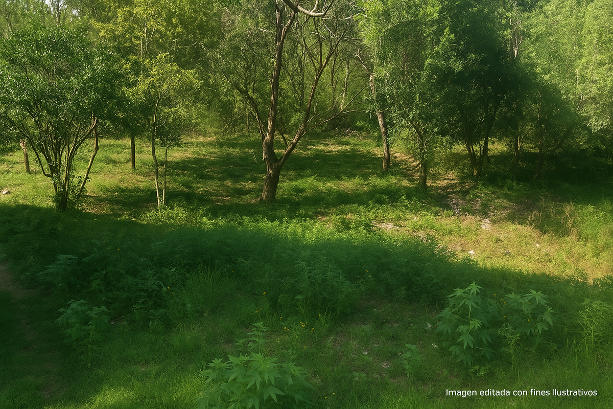 Terreno en venta en Bosque de San Pedro, Santiago — foto 1 de 4