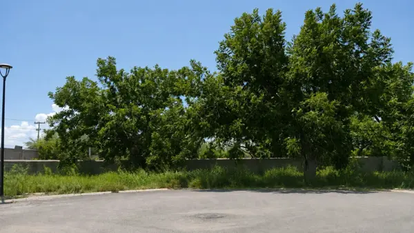 Terreno en venta en Las Trojes, Torreón — foto 2 de 2