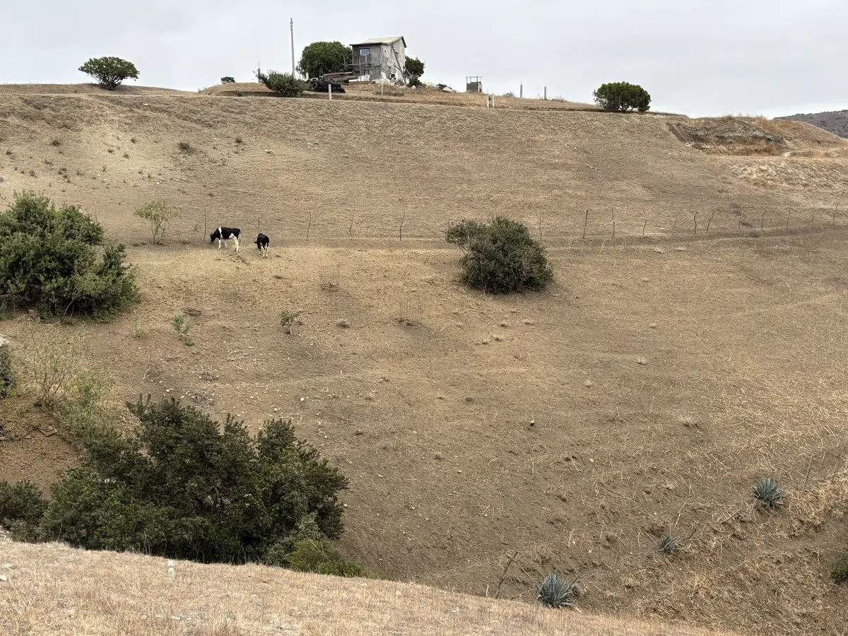 Terreno en venta en Lomas Altas, Playas de Rosarito — foto 1 de 5