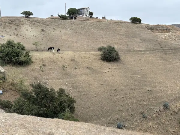 Terreno en venta en Lomas Altas, Playas de Rosarito — foto 2 de 5