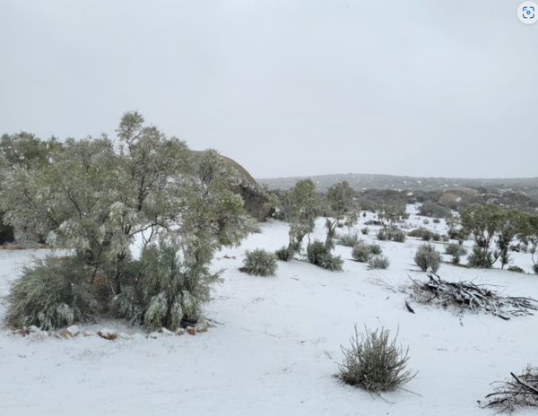 Terreno en venta en CERESO El Hongo, Tecate — foto 3 de 10