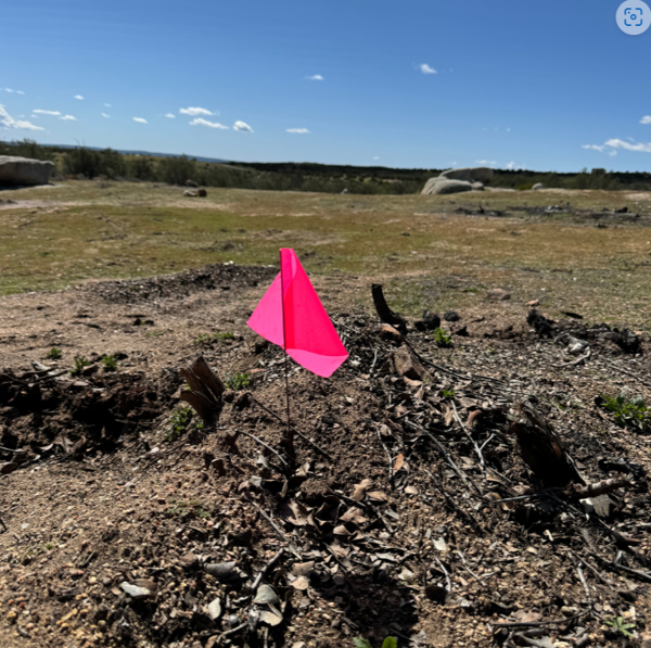 Terreno en venta en CERESO El Hongo, Tecate — foto 2 de 10
