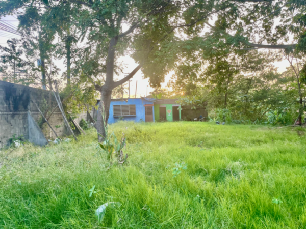 Terreno en renta en Buena Vista 2da. Sección, Centro — foto 2 de 10