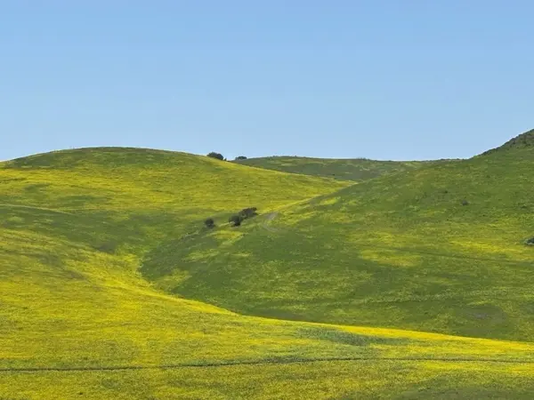 Lotes en venta cerca de Cedros, Tijuana. Rancho Santa Fé