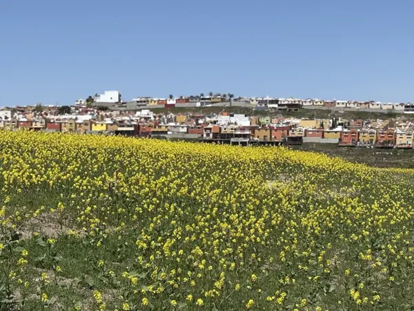 Terreno en venta en Urbi Quinta del Cedro, Tijuana — foto 2 de 18