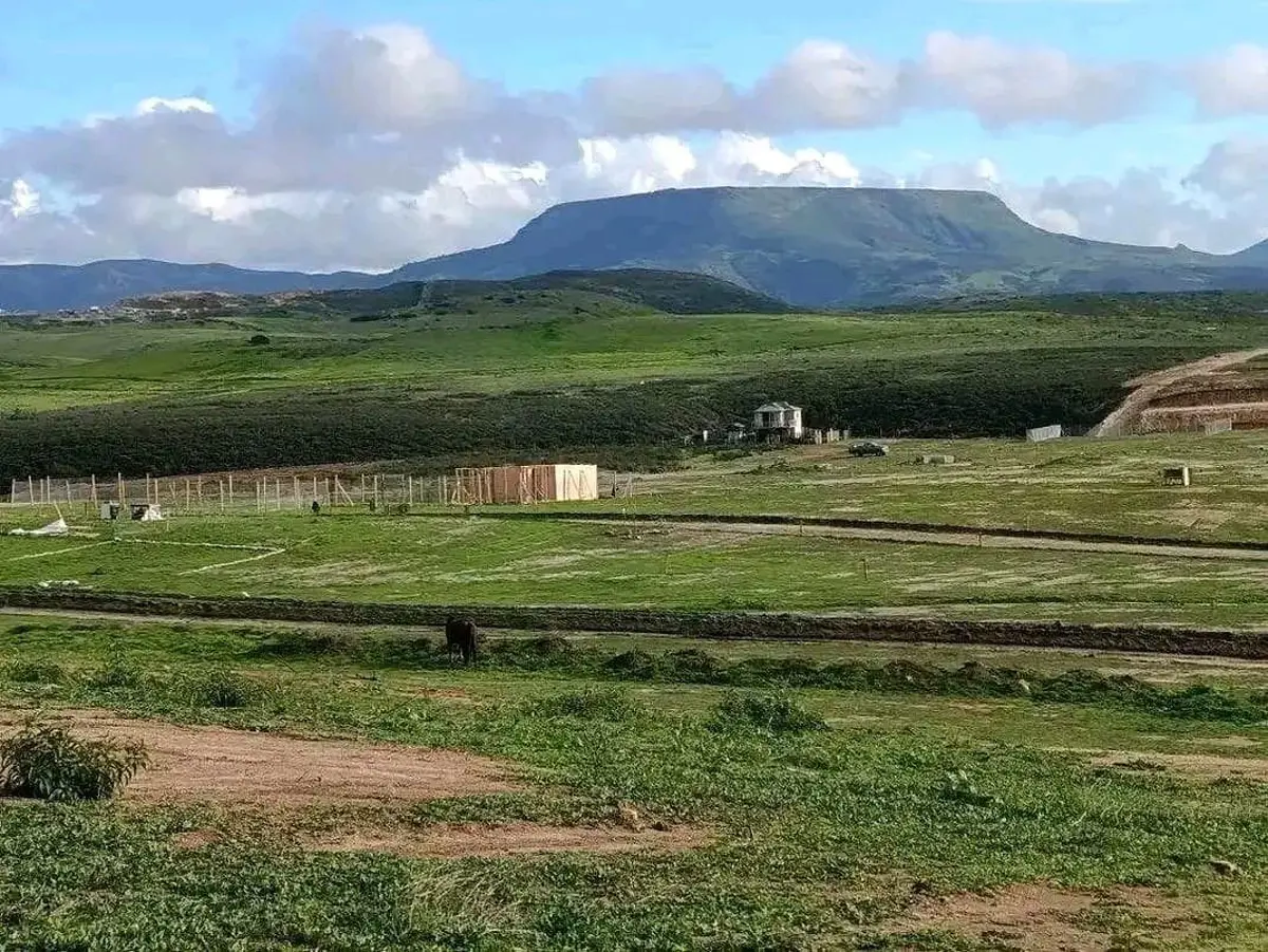 Terreno en venta en Palma Real, Tijuana — foto 1 de 8