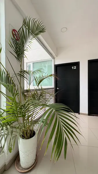 Departamento en renta en Tres Ríos, Culiacán — foto 3 de 21