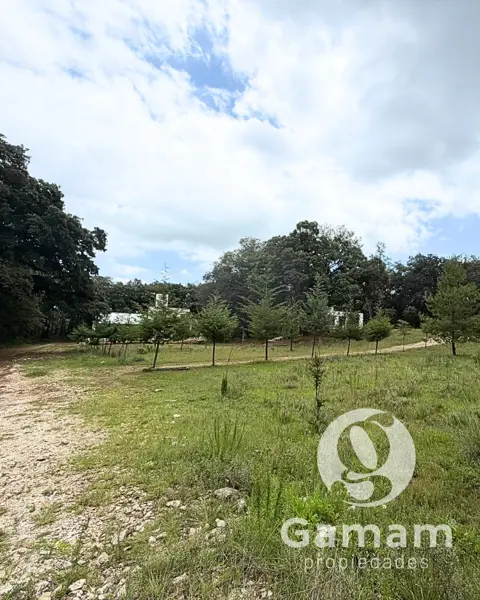 Terreno en venta en San Antonio el Paso, Omitlán de Juárez — foto 3 de 15