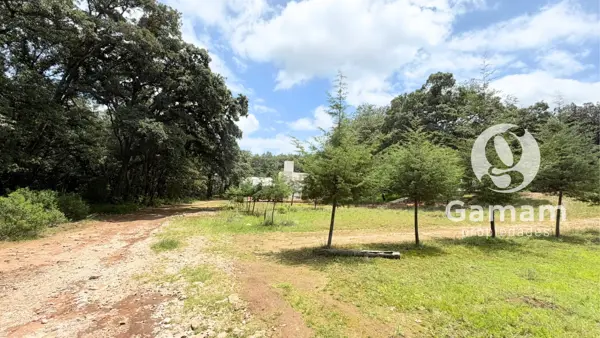 Terreno en venta en San Antonio el Paso, Omitlán de Juárez — foto 2 de 15
