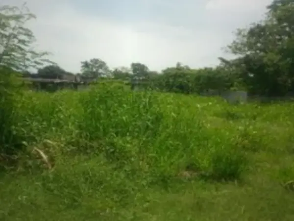 Terreno en venta en PEMEX, Macuspana — foto 3 de 3
